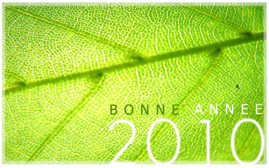 2010