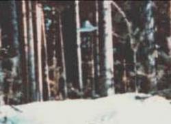 16 Marte 1979 Suonenjoki, Finlande