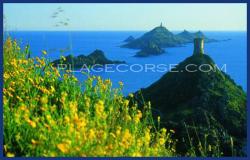 Ajaccio Corsica