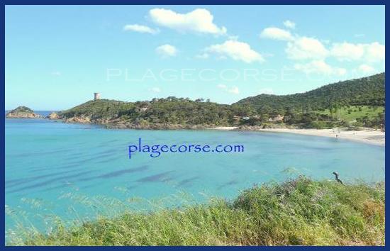 plage de fautea non loin de tarco