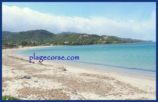 plage de favone en corse