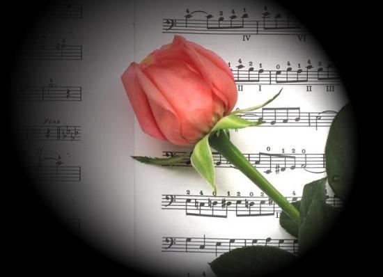 VOTRE CHANSON