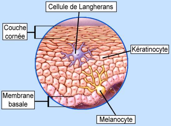De pigment la tache après les boutons sur le dos