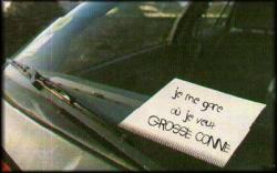 pv stationnement,pervenche,stationnement drole,insulte a agent
