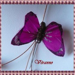 fuchsia et chocolat