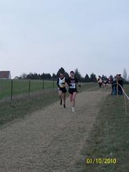 cross-daours-2009