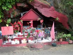 Un tibondieu sur la route des Makes (Ile de la R�union)
