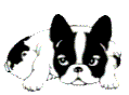 anima10