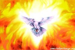 Colombe de feu