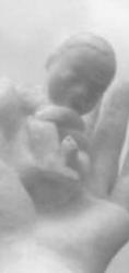 Un foetus appelé comme témoin pour justifier l'interdiction de l'avortement ! Sculpture-enfant