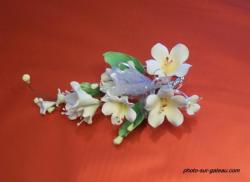 fleurs gm jaune