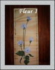 fleur 1