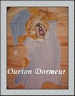 ourson dormeur