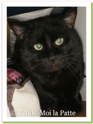 P&eacute;pito