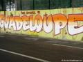 Fresque, parc national de Guadeloupe