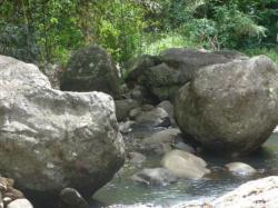 Cascade Kalinago