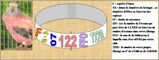 Les informations contenues sur une bague ferm&eacute;e