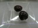 Perles graines lumbang