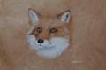renard encre sur papier d'himalaya