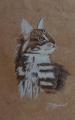 chat encre sur papier de l'himalaya
