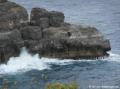 Pointe de la Grande-Vigie, rocher à tête d'iguane