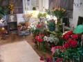 Boutique