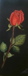 Bouton de rose
