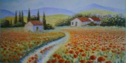 champ de coquelicots