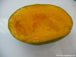Mangue