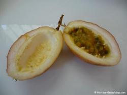 Goyave - fruit de la passion