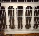 Balustre
