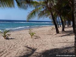Plage du Souffleur &agrave; la D&eacute;sirade, Guadeloupe