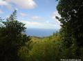 Parc des mamelles, forêt tropicale