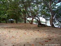 Plage des amandiers