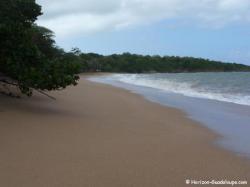Plage des amandiers