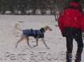 Au Rendez-vous des �l�gances