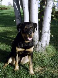 Molly(1)