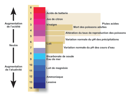 échelle des PH