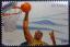 Basket ball