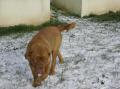 Album par d�faut