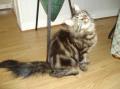Album par d�faut