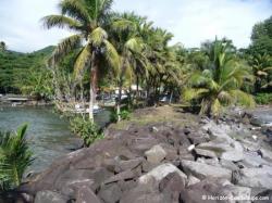 Port de p&ecirc;che de Bananier - Digue bord&eacute;e de cocotiers