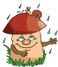 Champignon pluvieux
