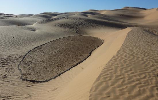 le rivage du Monde