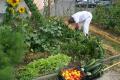 Melun : jardin d'insertion