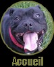 accueil