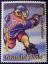 Hockey sur gazon / glace