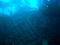 Tubes &agrave; fum&eacute;e de la chaudi&eacute;re