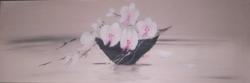 Orchid&eacute;es Blanches.30x90cm