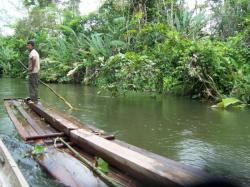 Choco, Colombie - exploitation traditionnelle du bois (arracacho)